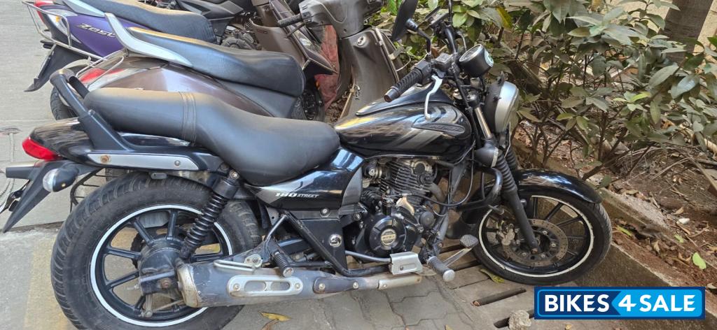 Ebony Black Met Bajaj Avenger Street 180