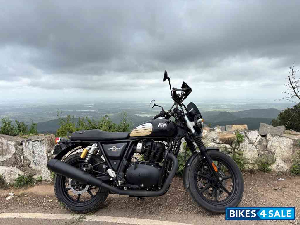 Black Ray Royal Enfield Interceptor 650 Twin