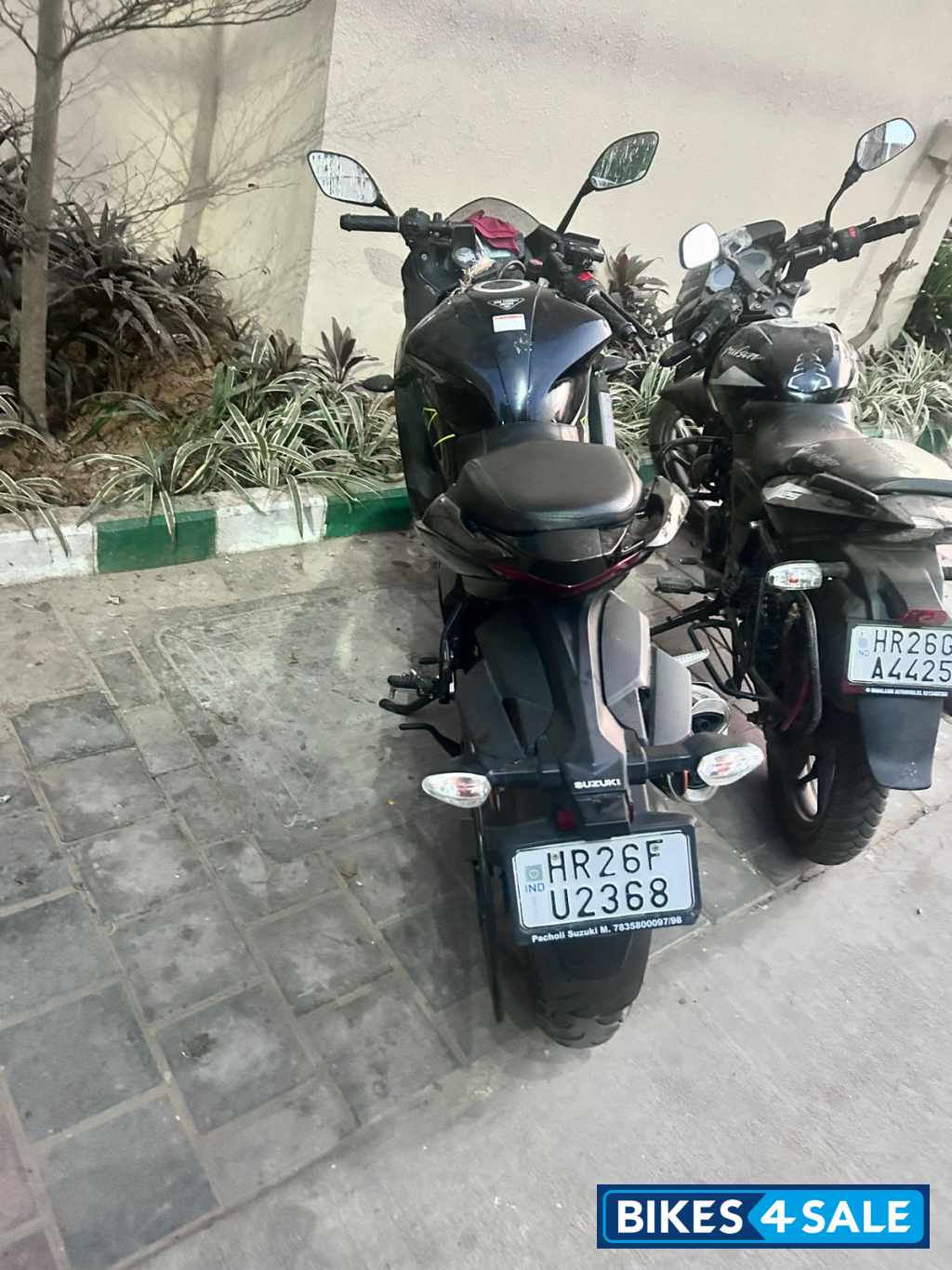 Suzuki Gixxer SF BS6