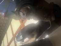 Bajaj Chetak Electric 2023 Model