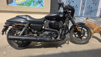 Harley Davidson Street 750 2016 Model