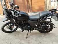 Yezdi Adventure Matte 2024 2024 Model