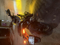 Dip Gold Royal Enfield Guerrilla 450 Dash