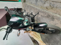 Bajaj Pulsar 125 Neon Disc Single Seat 2025 Model