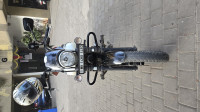 Matt White Bajaj Avenger Street 220