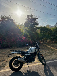 Royal Enfield Himalayan 452