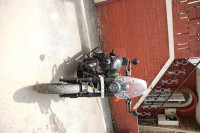 Hunter Green Yezdi Roadster Dark