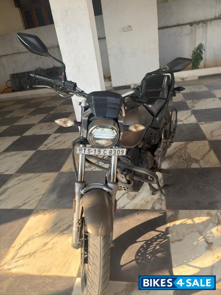 Matt Shield Gold Hero XPulse 200T