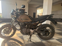 Matt Shield Gold Hero XPulse 200T