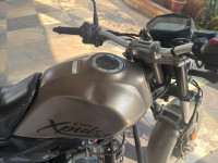 Matt Shield Gold Hero XPulse 200T