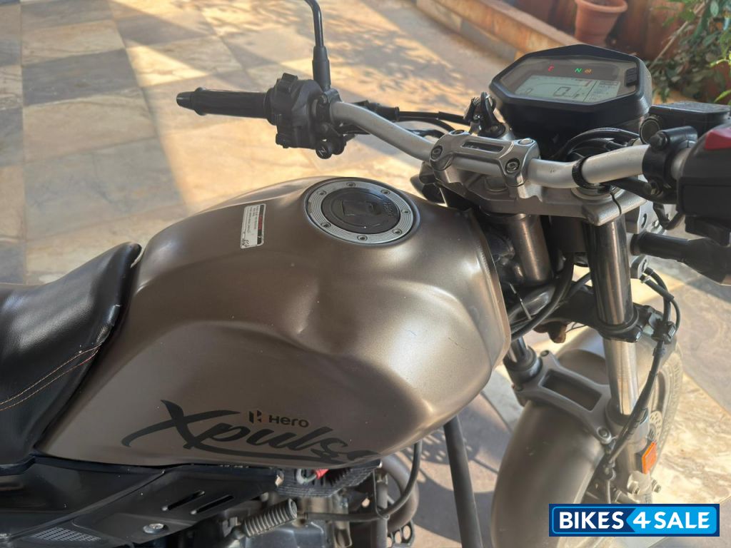 Matt Shield Gold Hero XPulse 200T