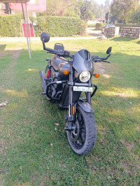 Harley Davidson Street Rod 2017 Model