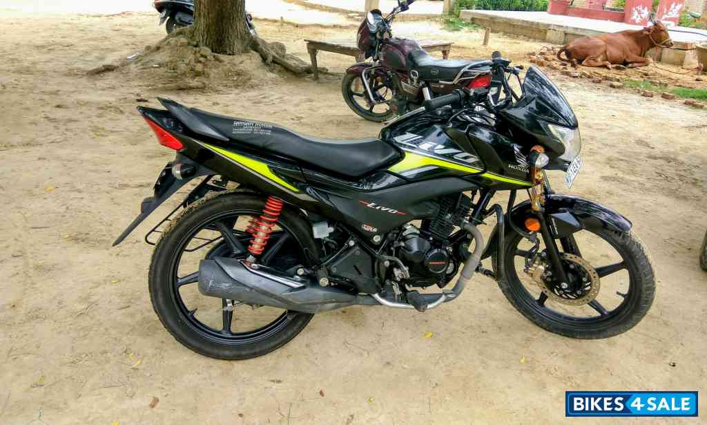 Black & Green Stripes Honda Livo Disc