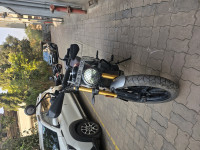 Triumph Scrambler 400 X