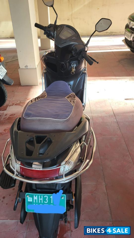 Greyish Black Ampere Magnus Ex