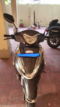 Greyish Black Ampere Magnus Ex