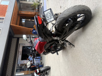 Red Honda 2022 CB300R
