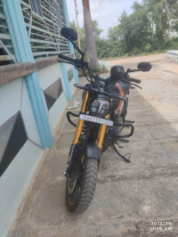 TVS Ronin TD Special Edition 2025 Model