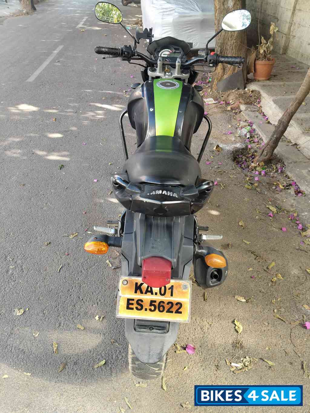 Black And Green Yamaha FZ-S