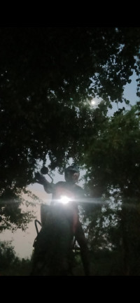 Orange And Black KTM 390 Enduro R 2025