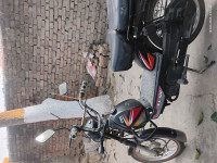 Black TVS XL 100 Heavy Duty