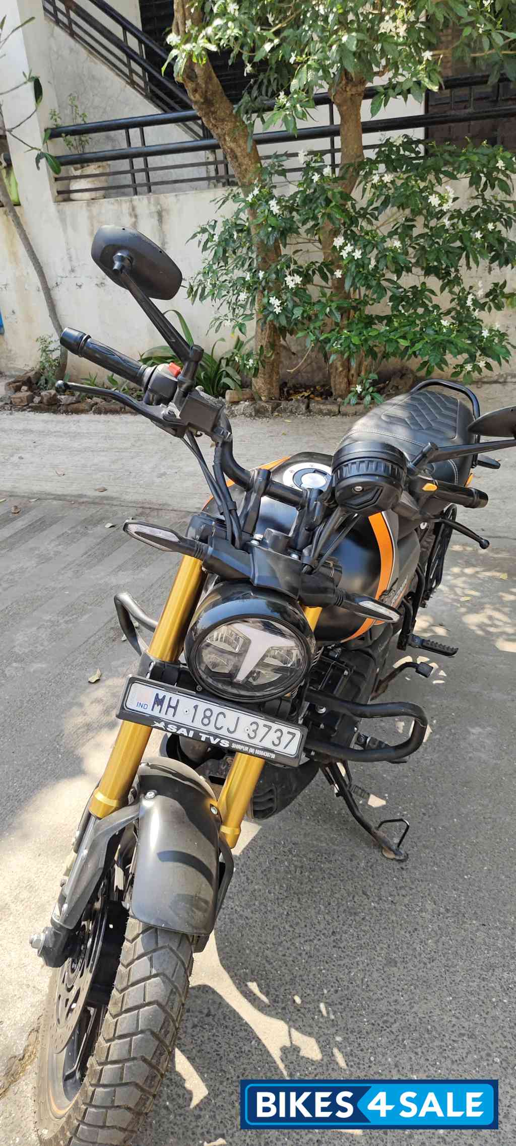 Charcoal Emerald TVS Ronin DS 2025