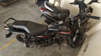 Bajaj Avenger Street 220 2015 Model
