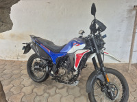 Hero XPulse 210 2025 Model