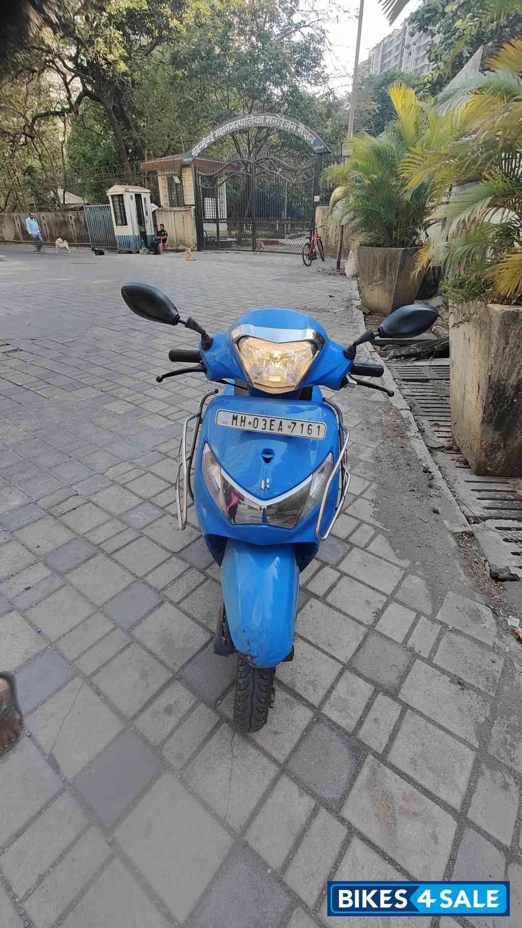 Blue Hero Pleasure Plus 110