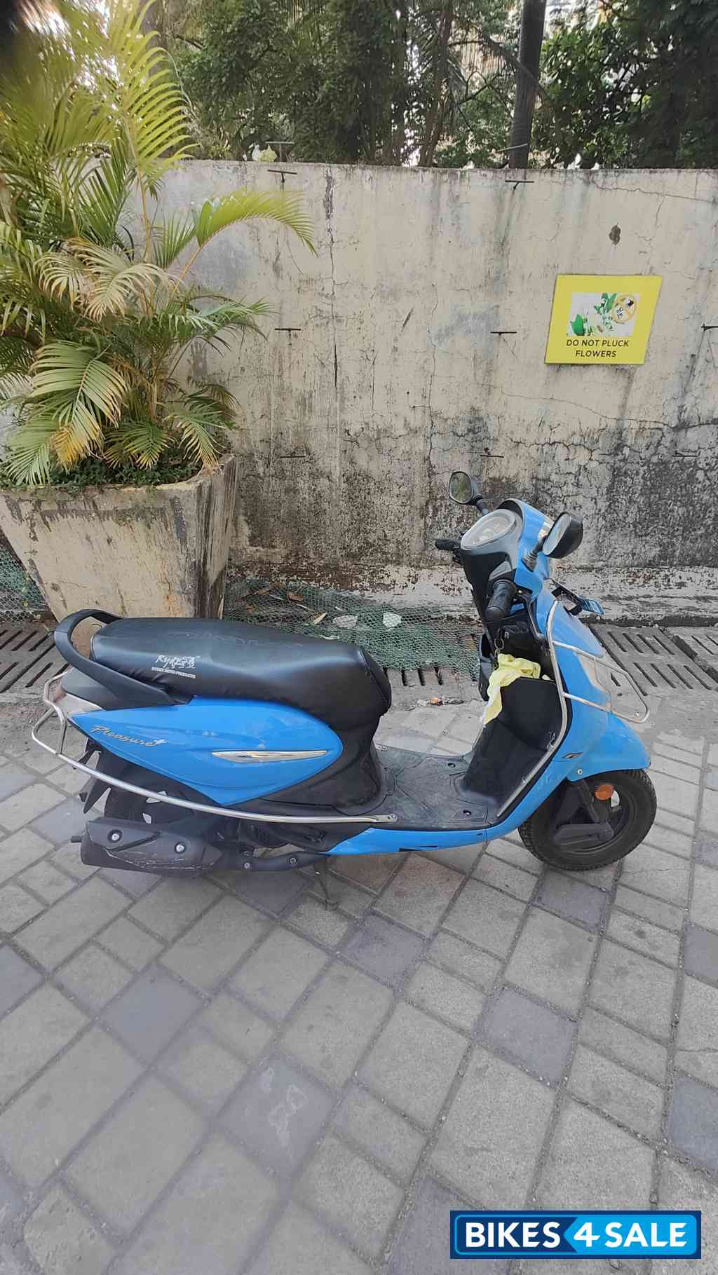 Blue Hero Pleasure Plus 110
