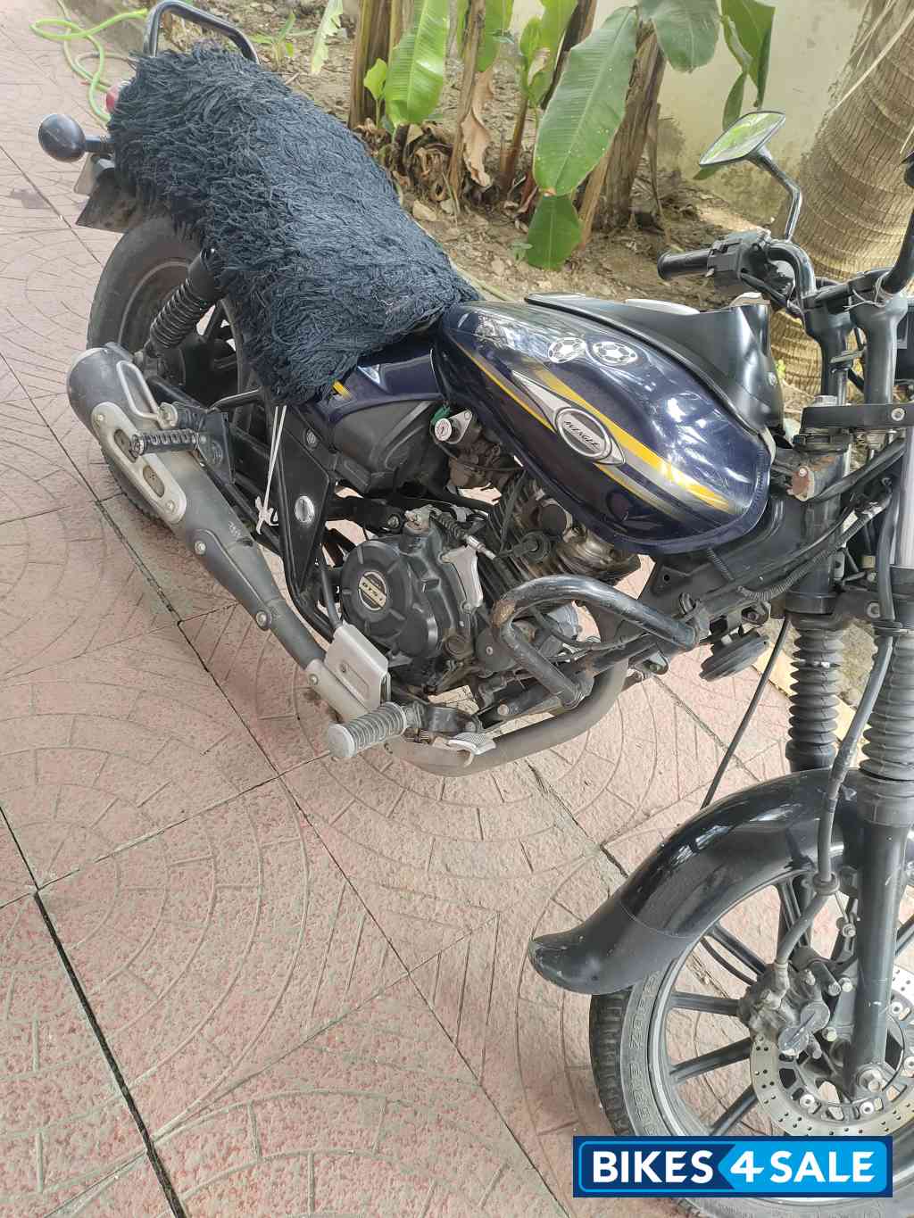 Bajaj Avenger Street 150