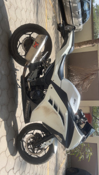 Kawasaki Ninja 300R 2013 Model