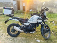Royal Enfield Himalayan 452 2025 Model