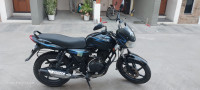 Black Blue Bajaj Discover DTSi 135
