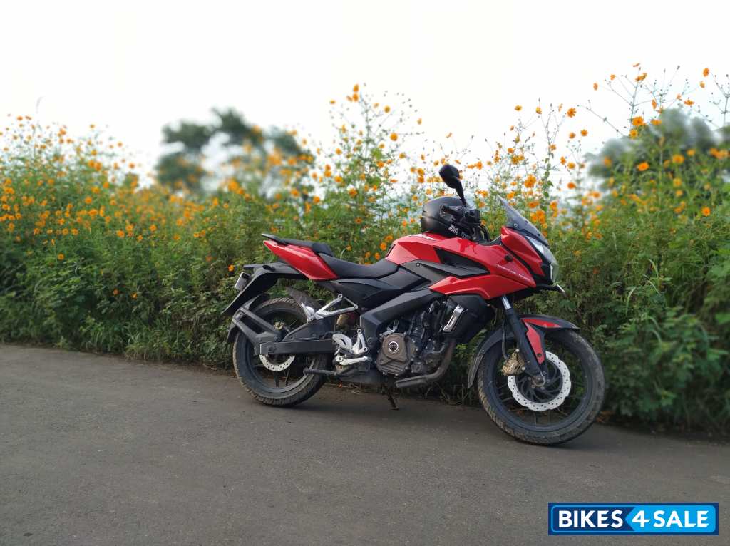 Red Bajaj Pulsar AS 200 Red Bajaj Pulsar AS 200
