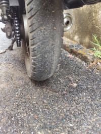 Moonlight White Bajaj Avenger Cruise 220