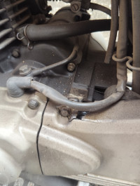 Moonlight White Bajaj Avenger Cruise 220