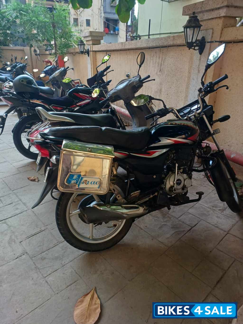 Black Red Bajaj Platina 100 ES BS6