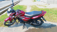 Metallic Red Honda Shine 125 Drum OBD2