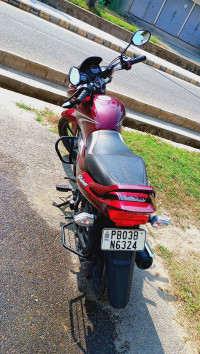 Metallic Red Honda Shine 125 Drum OBD2