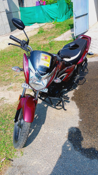 Metallic Red Honda Shine 125 Drum OBD2