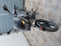 Black Bajaj Pulsar 150 DTSi