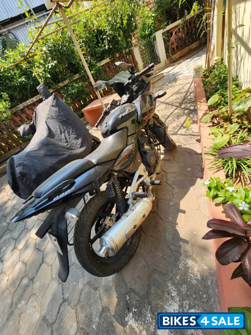 Black Bajaj Pulsar 220 DTSFi Black Bajaj Pulsar 220 DTSFi