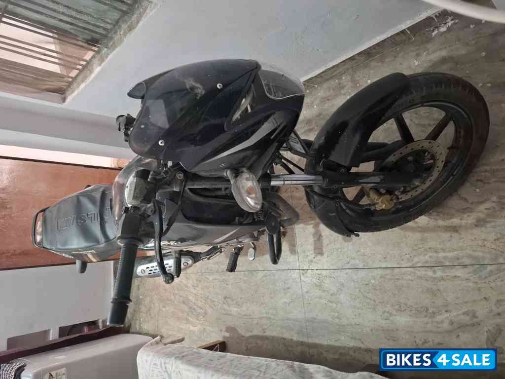 Black Bajaj Pulsar 150 DTSi