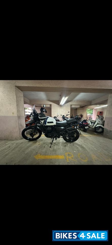 White Yezdi Adventure Gloss 2024