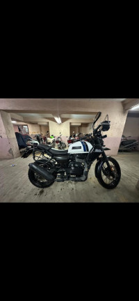 White Yezdi Adventure Gloss 2024