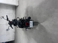 Bajaj Avenger Street 160 2024 Model