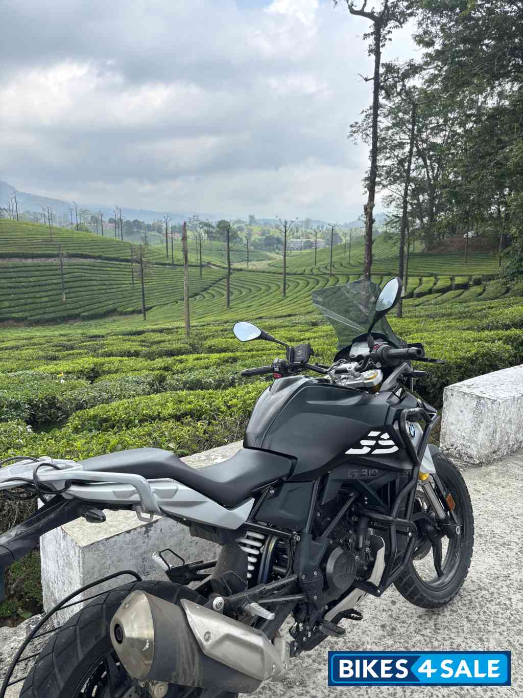 Triple Black BMW G 310 GS