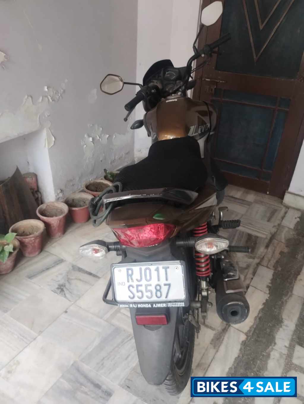 Golden Honda Livo Drum