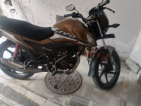 Golden Honda Livo Drum